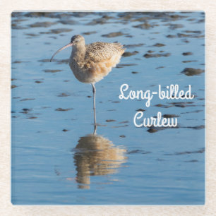 Long-billed Curlew Glass Coaster