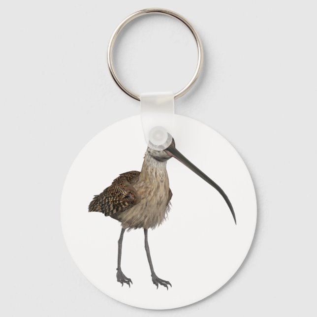 Long-Billed Curlew Keychain (Front)