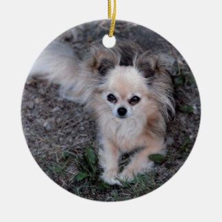 Long Coat Chihuahua Ceramic Ornament