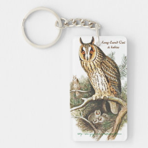 "Long Eared & Great Horned Owls"