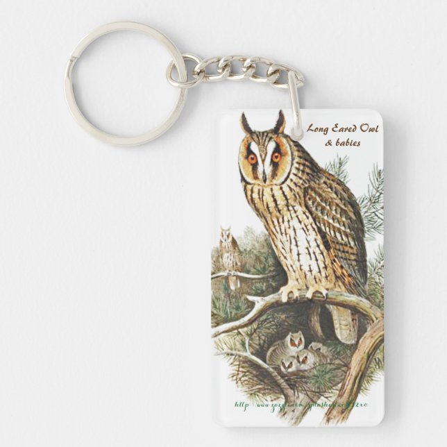 "Long Eared & Great Horned Owls" Keychain (Front)