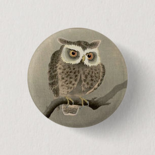 long-eared owl 1 inch round button