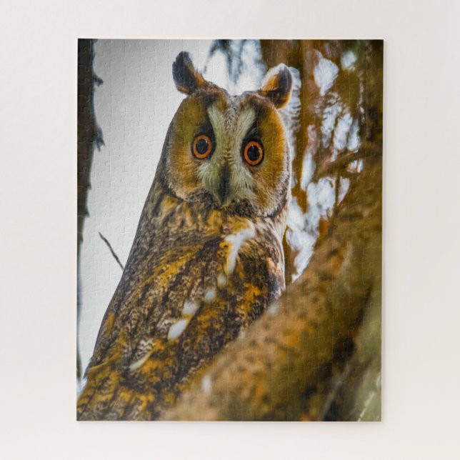 Long Eared Owl- Birds of Prey. Jigsaw Puzzle (Vertical)