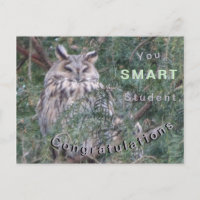 Long-eared Owl Congratulations Postcard