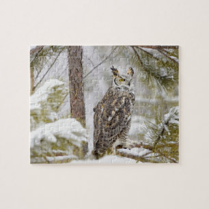 Long eared owl jigsaw puzzle
