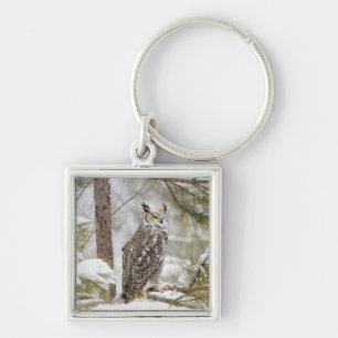 Long eared owl keychain