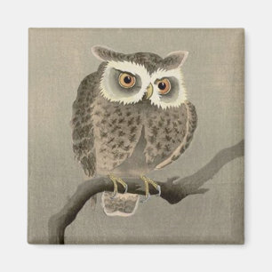 long-eared owl magnet