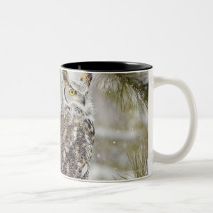 Long eared owl Two-Tone coffee mug