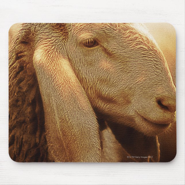 Long Eared Sheep Dolomites, Italy Mouse Pad (Front)