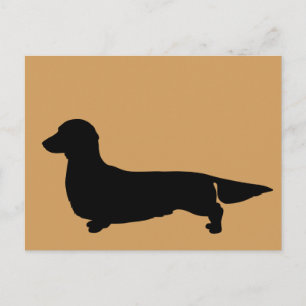 Long Hair Dachshund Postcard