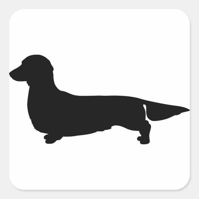 Long Hair Dachshund Square Sticker (Front)