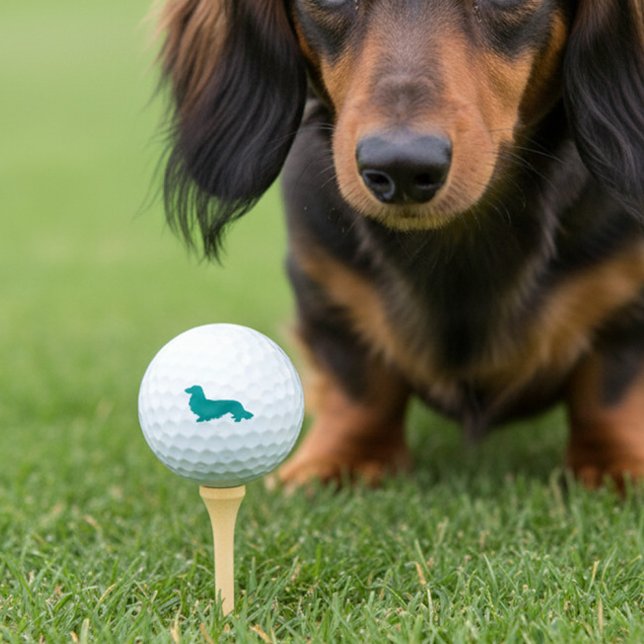 Long Hair Dachshund Teal Golfer Gift Golf Balls (Long hair dachshund golf balls for wiener dog loving golfers)