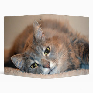 Long Haired Blue Russian Cat by Shirley Taylor Binder