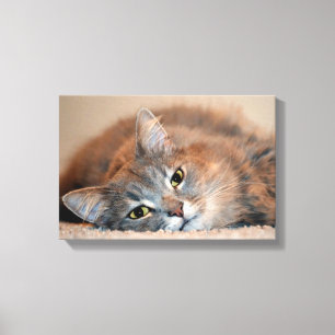 Long Haired Blue Russian Cat by Shirley Taylor Canvas Print