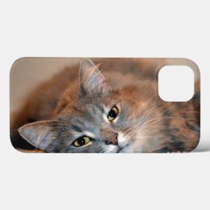 Long Haired Blue Russian Cat by Shirley Taylor iPhone 13 Case