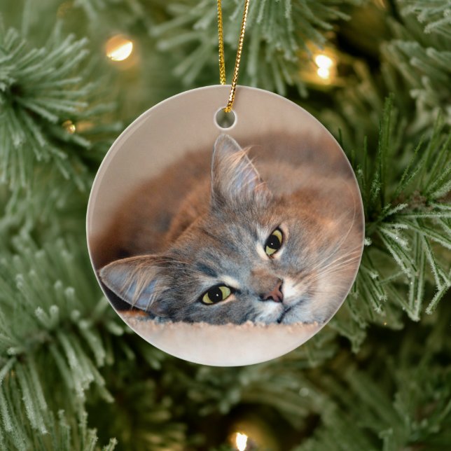 Long Haired Blue Russian Cat by Shirley Taylor Ceramic Ornament (Tree)
