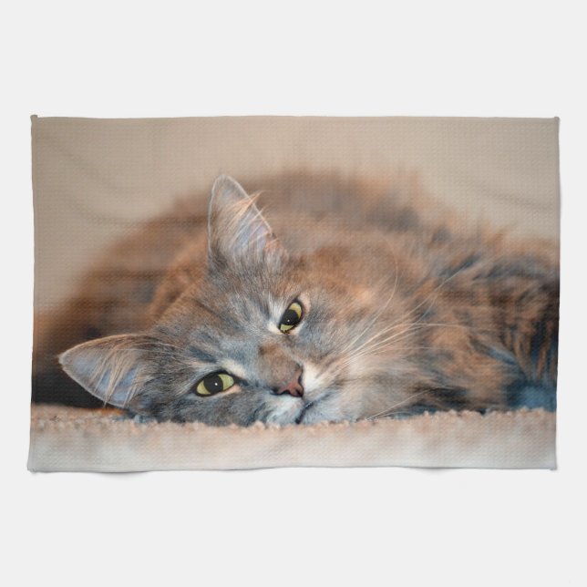 Long Haired Blue Russian Cat by Shirley Taylor Kitchen Towel (Horizontal)