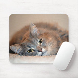 Long Haired Blue Russian Cat by Shirley Taylor Mouse Pad