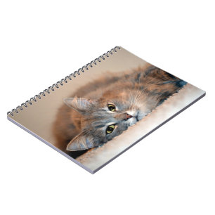 Long Haired Blue Russian Cat by Shirley Taylor Notebook
