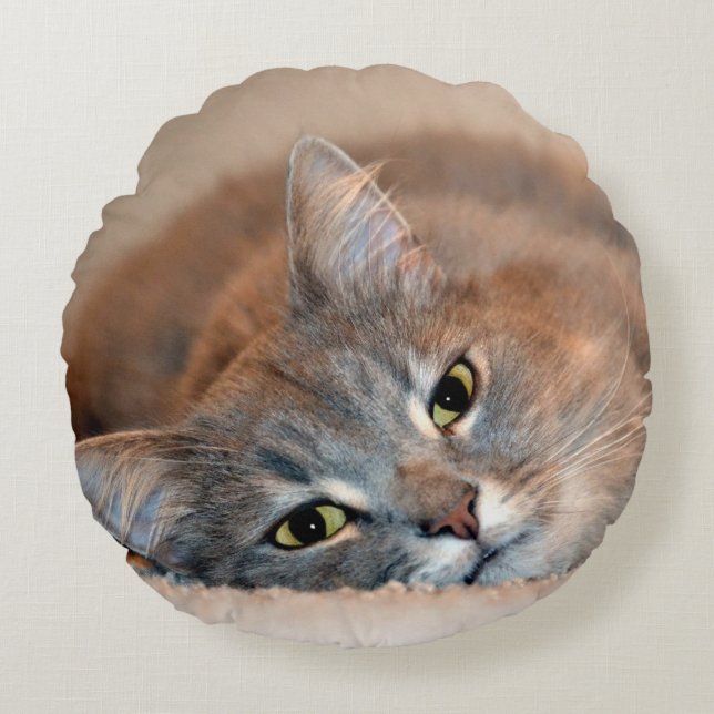 Long Haired Blue Russian Cat by Shirley Taylor Round Pillow (Front)