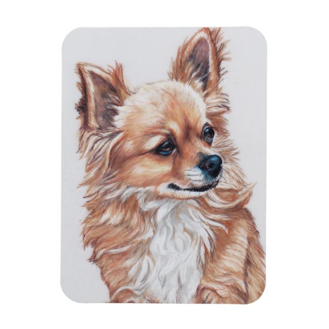 Long Haired Chihuahua Chig Magnet d'art (Vertical)