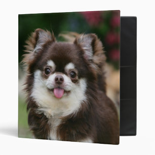 Long Haired Chihuahua Headshot 1 Binder