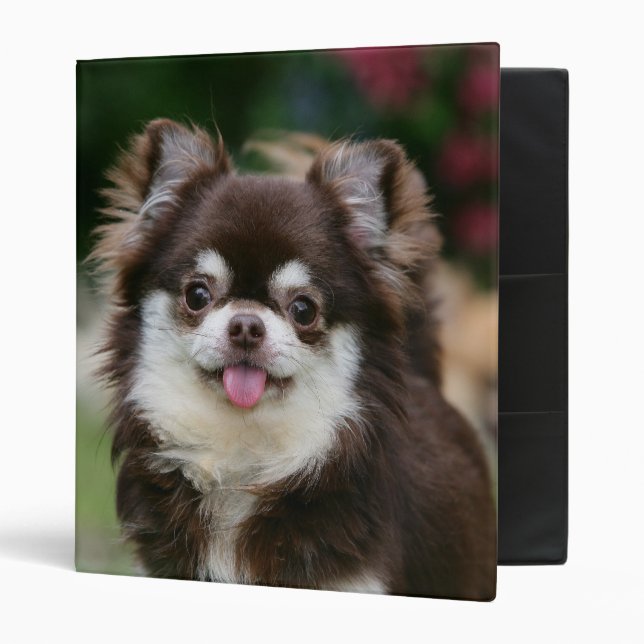 Long Haired Chihuahua Headshot 1 Binder (Front/Inside)