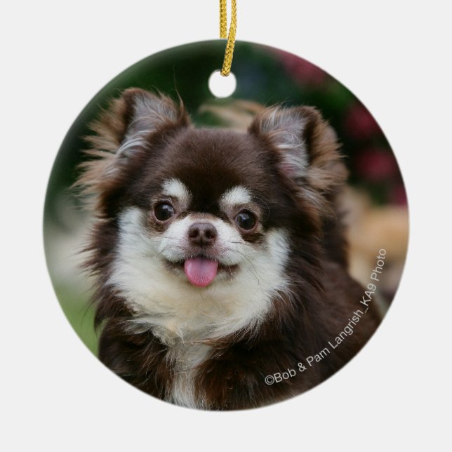 Long Haired Chihuahua Headshot 1 Ceramic Ornament (Front)
