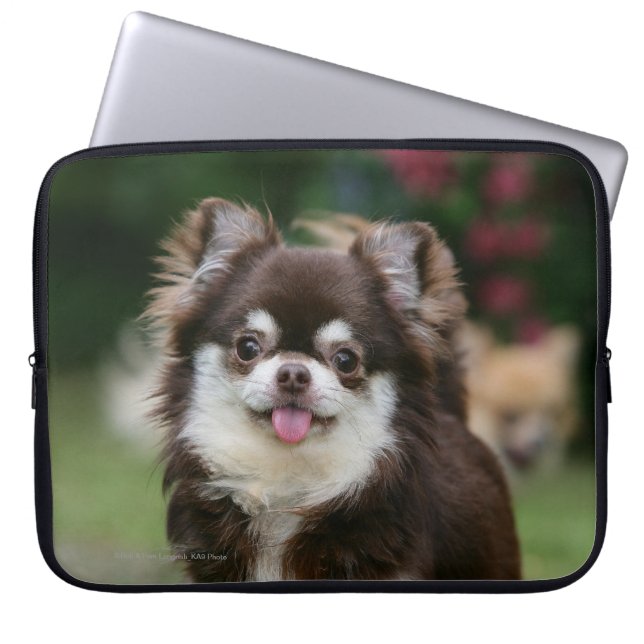 Long Haired Chihuahua Headshot 1 Laptop Sleeve (Front)