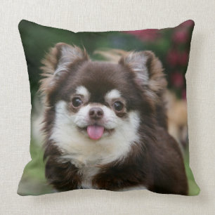 Long Haired Chihuahua Headshot 1 Throw Pillow