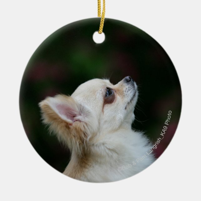 Long Haired Chihuahua Headshot 2 Ceramic Ornament (Front)