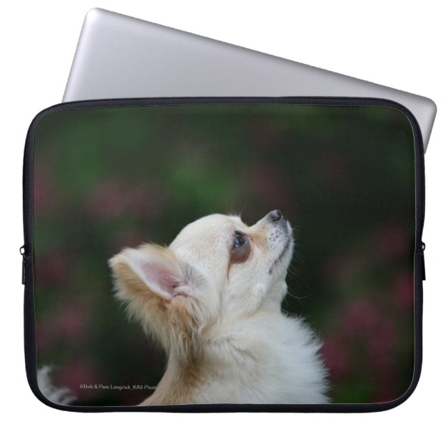 Long Haired Chihuahua Headshot 2 Laptop Sleeve (Front)