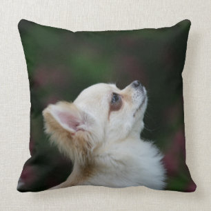 Long Haired Chihuahua Headshot 2 Throw Pillow