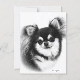 Long-Haired Chihuahua Oil Painting Postcard