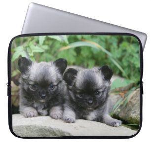 Long Haired Chihuahua Puppies Laptop Sleeve