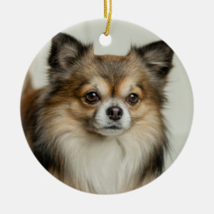 Long Haired Chihuahua Puppy Dog Ceramic Ornament