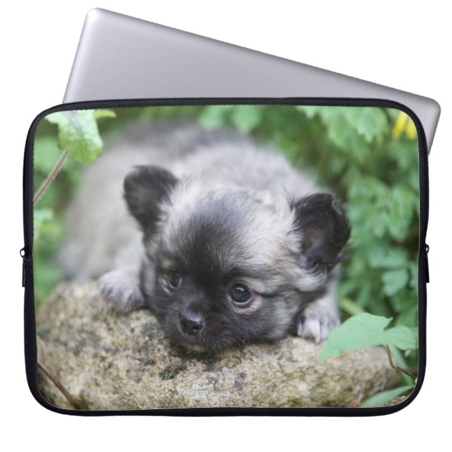 Long Haired Chihuahua Puppy Laptop Sleeve (Front)
