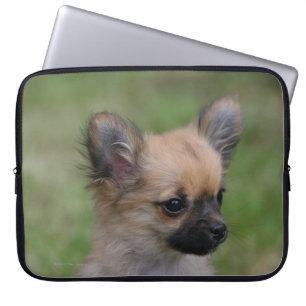 Long Haired Chihuahua Puppy Looking at Camera Laptop Sleeve
