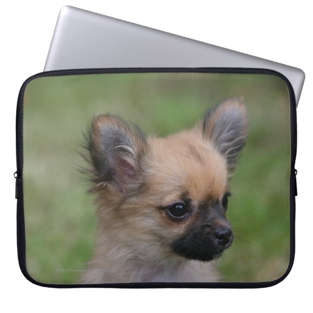 Long Haired Chihuahua Puppy Looking at Camera Laptop Sleeve (Front)
