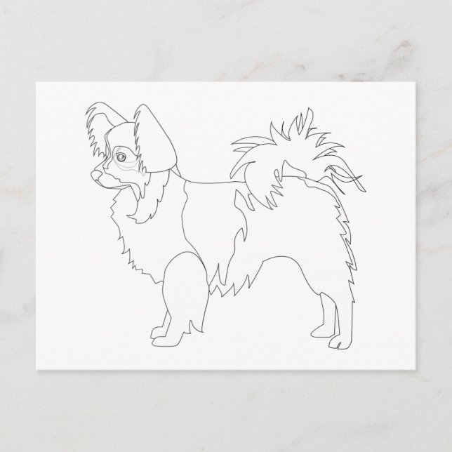 Long-haired Chihuahua Ready to Colour and Customiz Postcard (Front)