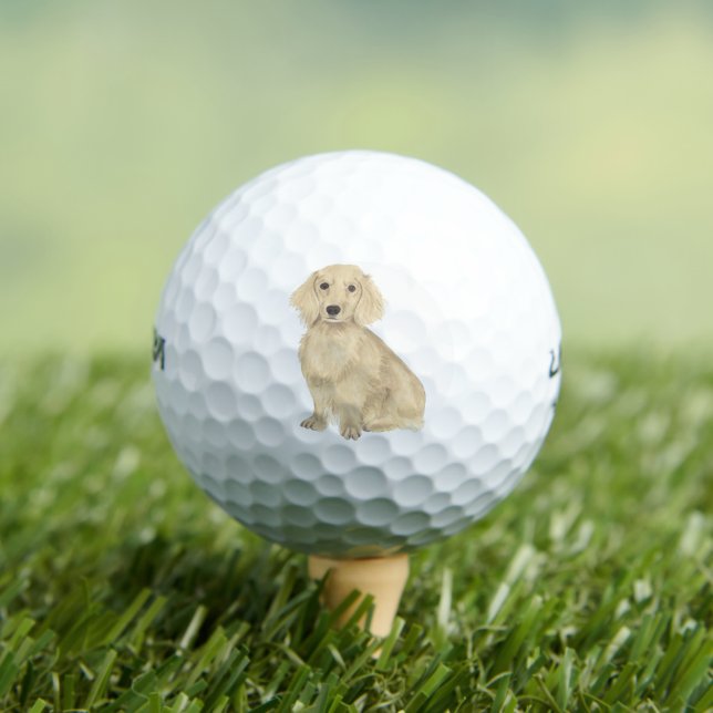 Long Haired Cream Dachshund Golf Balls (Insitu Tee)