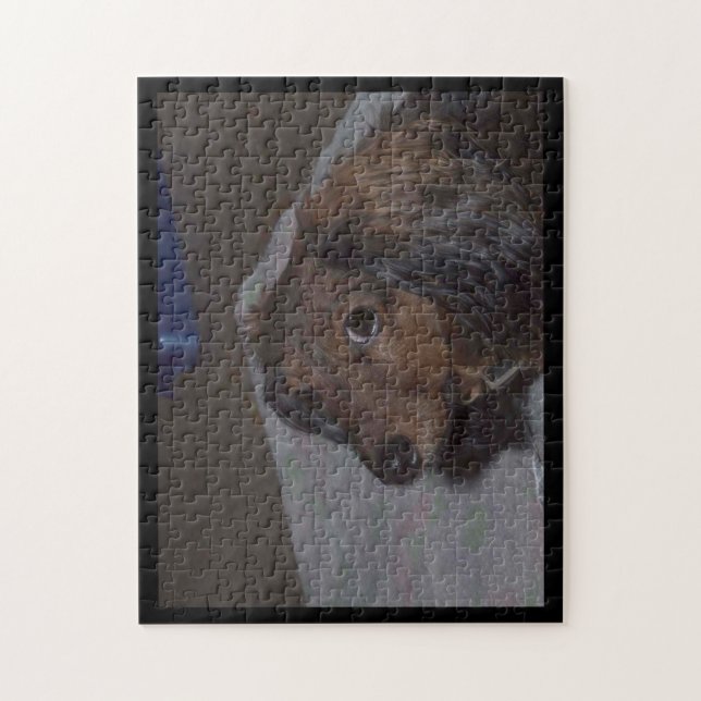 Long-Haired Dachshund Jigsaw Puzzle (Vertical)