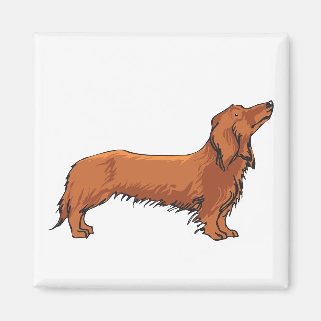 Long Haired Dachshund Magnet (Front)