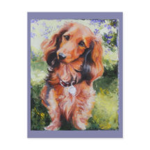 Long Haired Dachshund note card