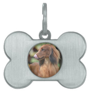 Long Haired Dachshund Pet ID Tag