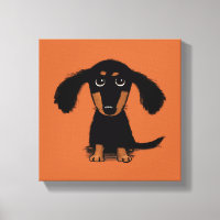 Long Haired Dachshund Puppy