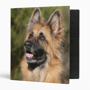 Long Haired German Shepherd 1 Binder