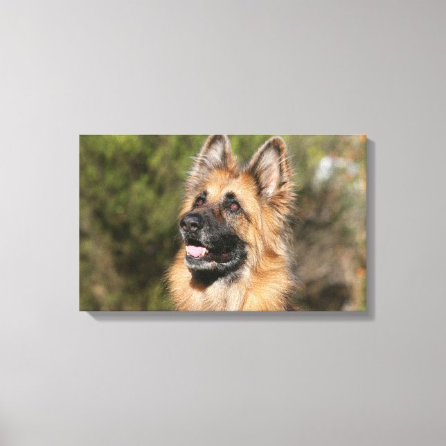 Long Haired German Shepherd 1 Canvas Print (Front)