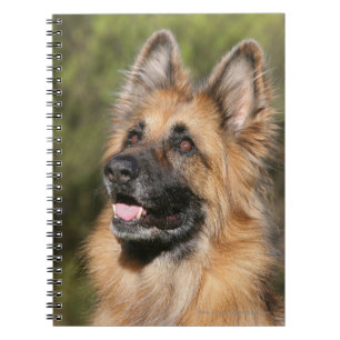 Long Haired German Shepherd 1 Notebook