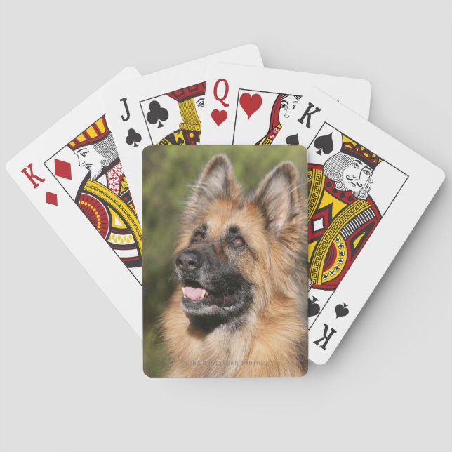 Long Haired German Shepherd 1 Playing Cards (Back)